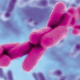KPC Klebsiella pneumoniae CARBAPENEMASE